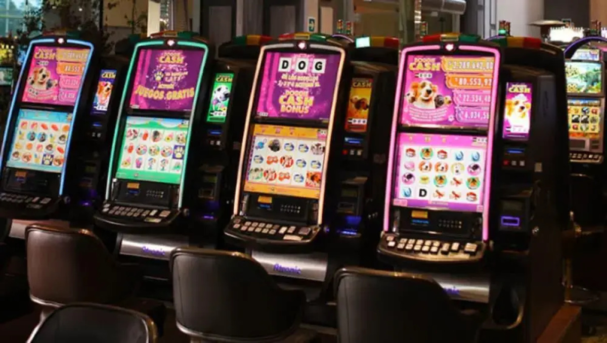 Hotel Dreams Valdivia