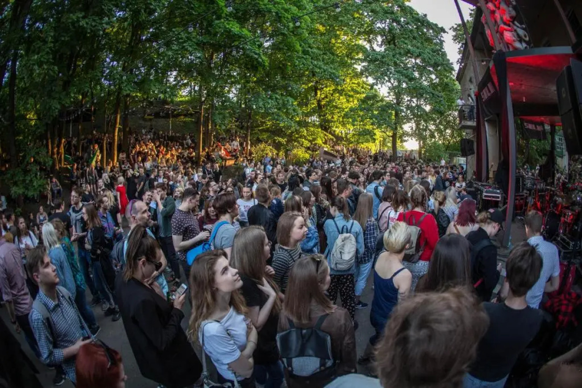 Downtown Forest Hostel & Camping