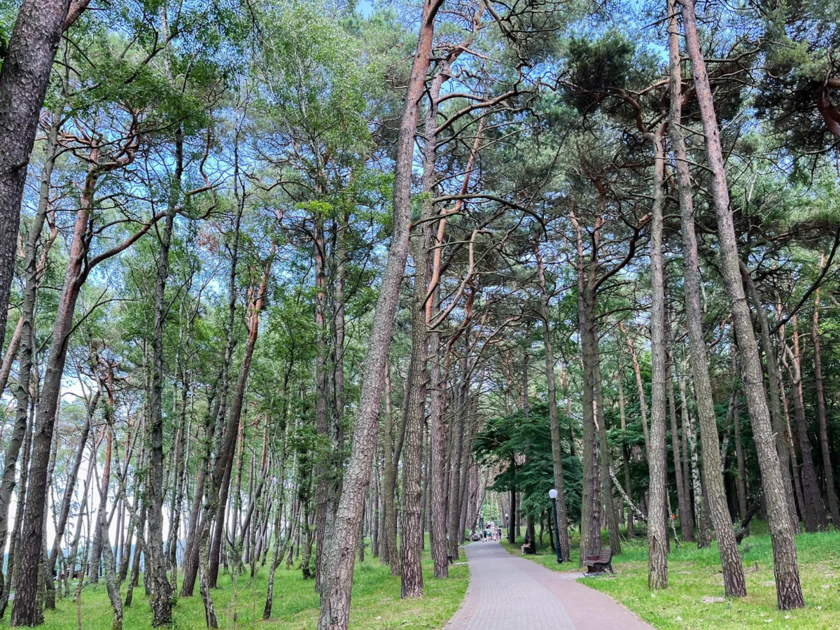 Апартаменты на Комсомольском переулке