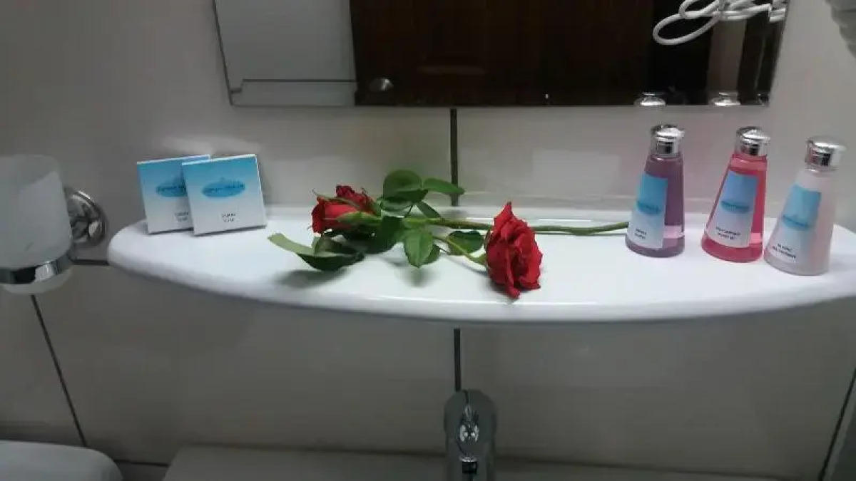 Zağnos Paşa Konaklari