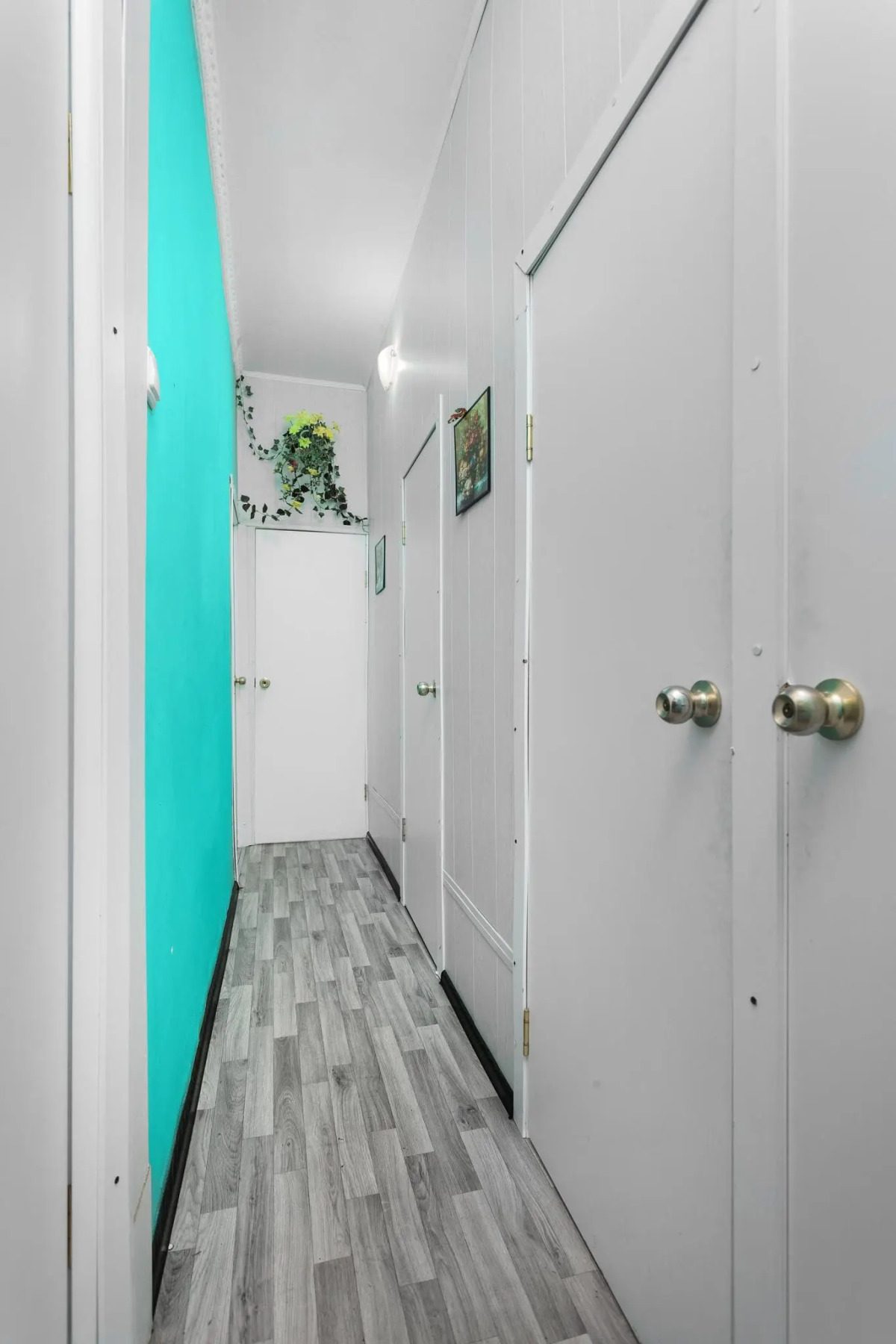 Жилые помещения Елизар