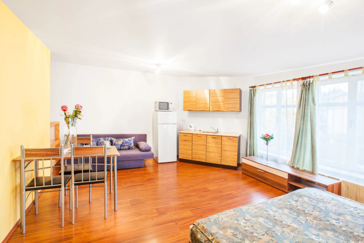 Apartment House Zizkov