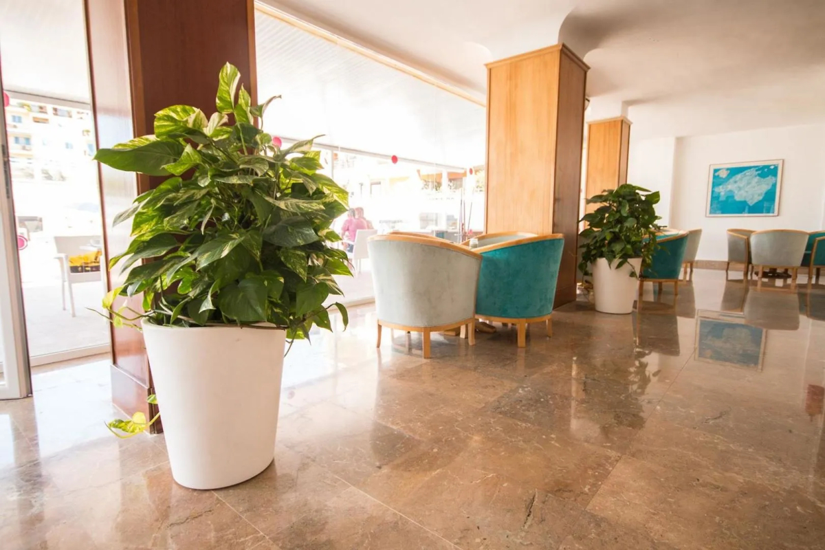 Отель Amic Miraflores
