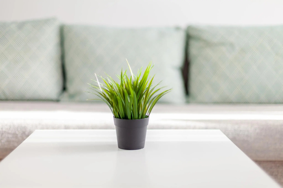 RentPlaza (РентПлаза) на 5-ой просеке 133