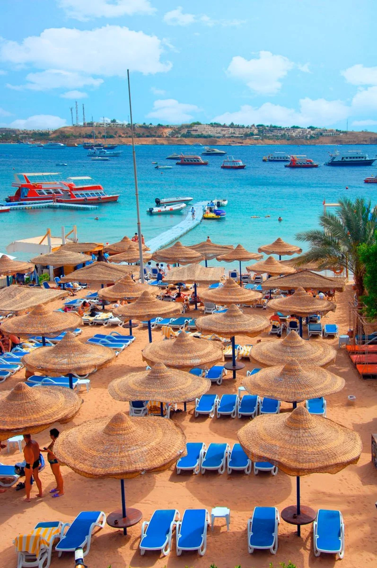 Naama Bay Hotel & Resort