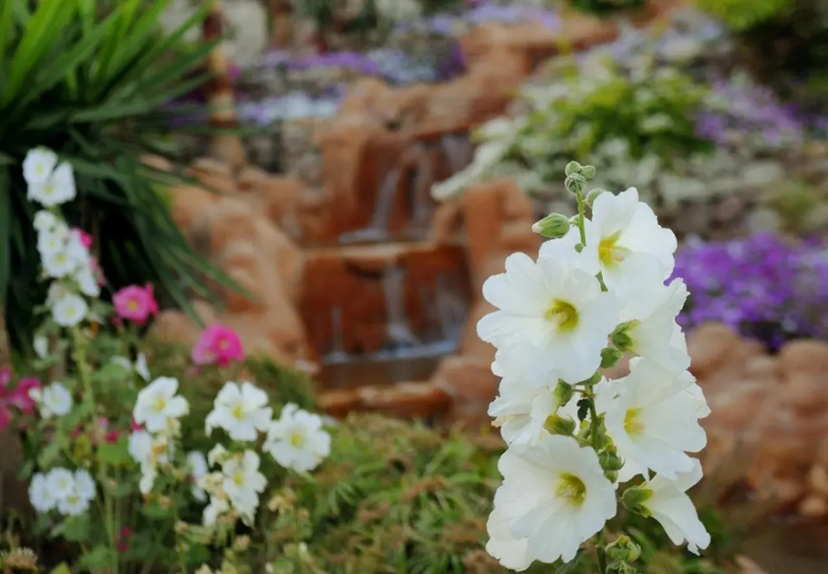 Renaissance Sharm El Sheikh Golden View Beach Resort