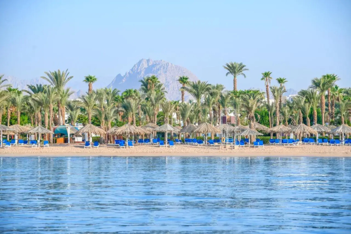 JAZ Sharm Dreams