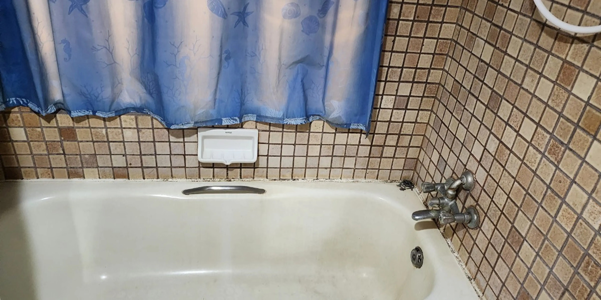 Safari Riviera Resort