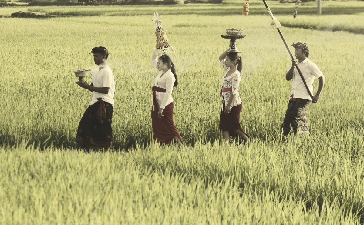 Madani Antique Villas