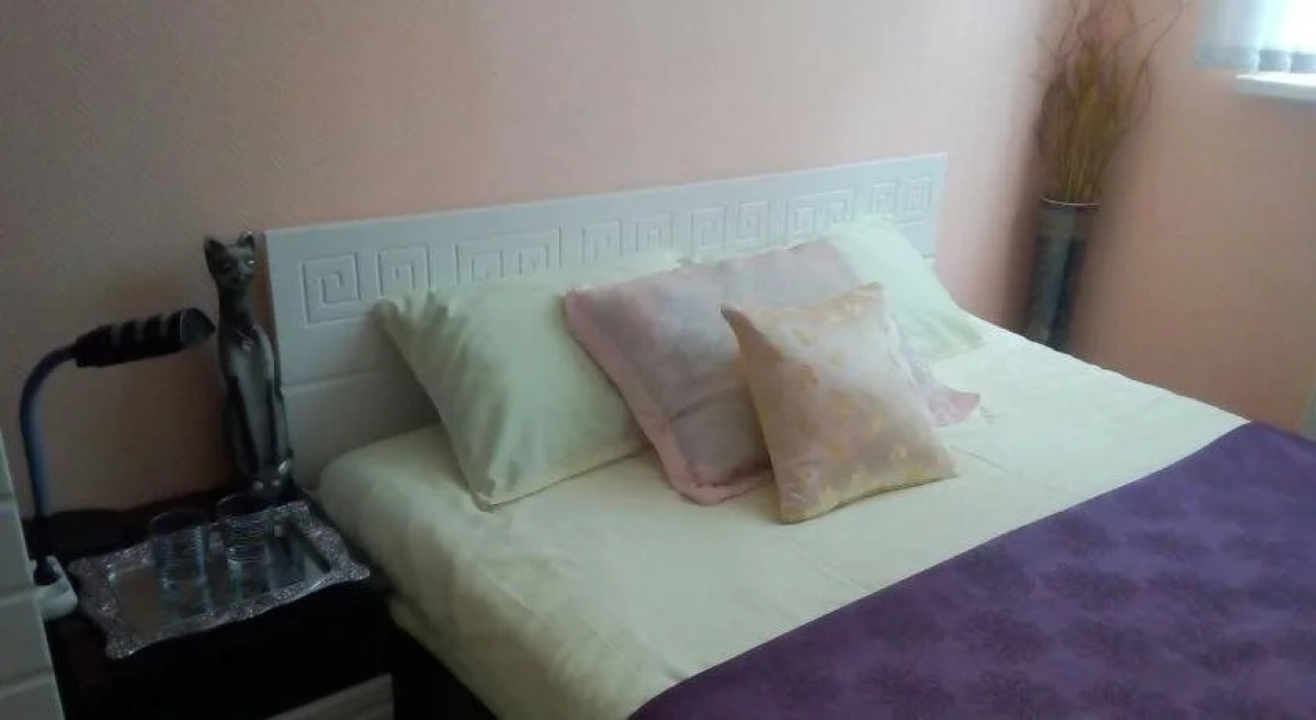 Mini-Hotel Brusnika