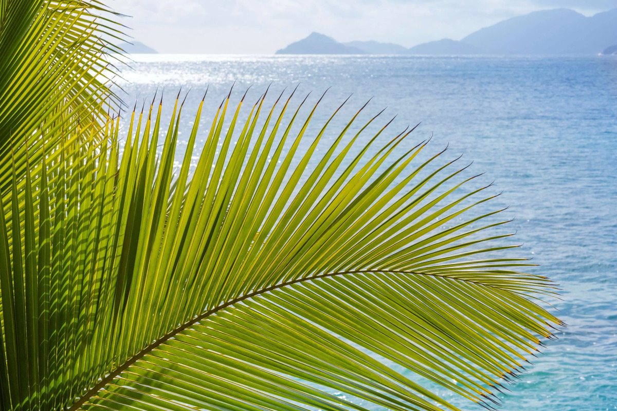 Mango House Seychelles, LXR Hotels & Resorts