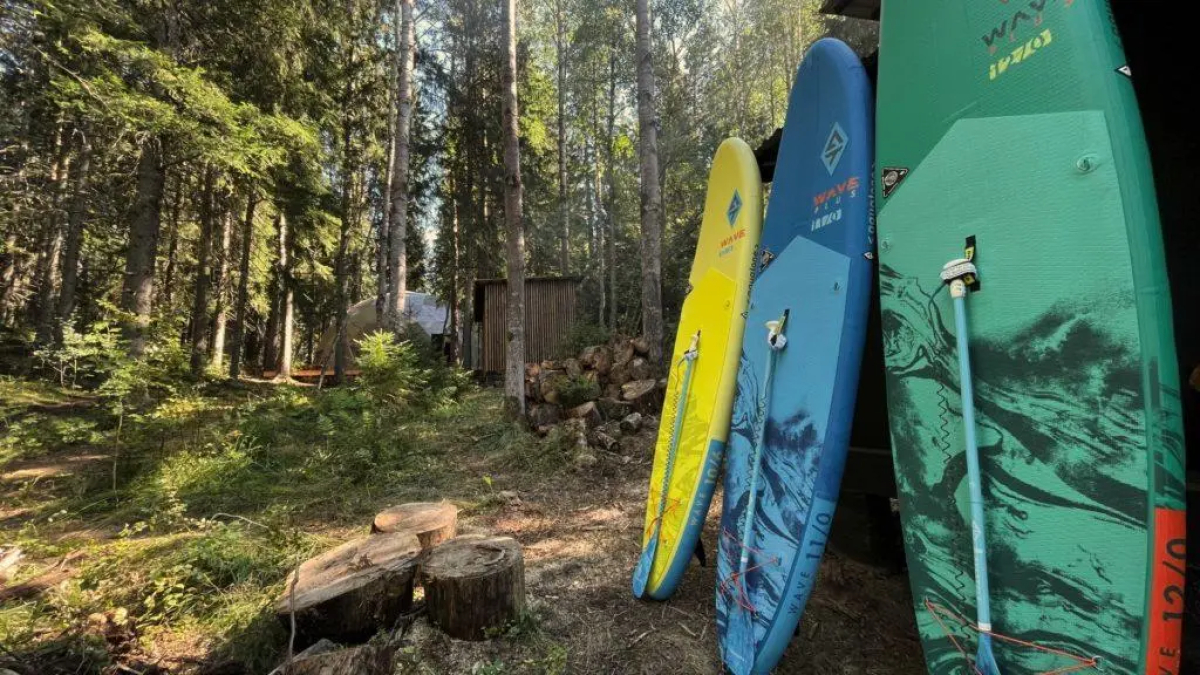 Вили Улей Карелия