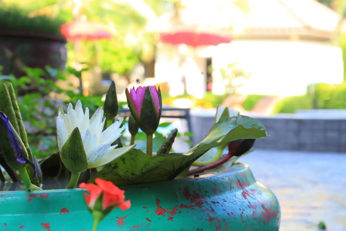 The Beach Garden Resort