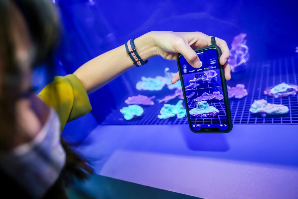 Resorts World Sentosa - Equarius Hotel