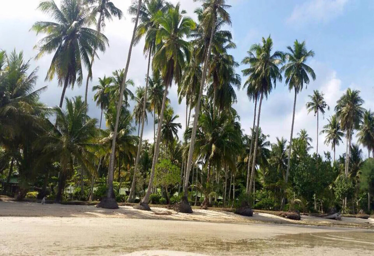 Dusita Resort Kohkood