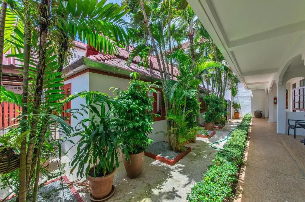 Panda Hotel（Patong Beach）