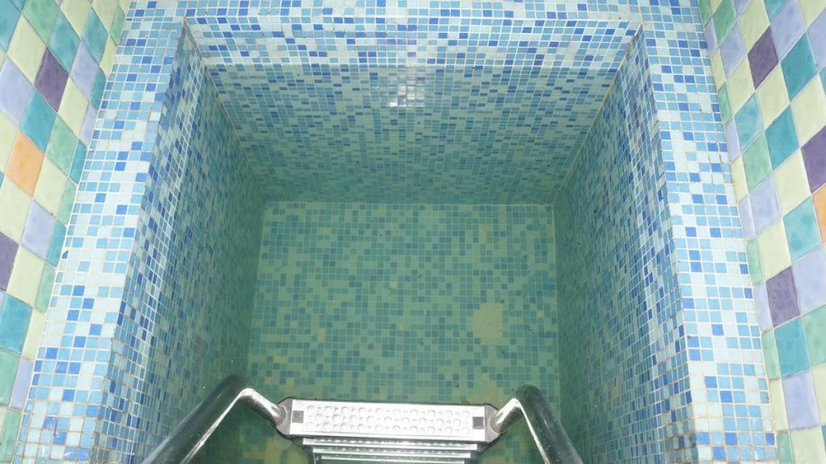 Максимова Дача