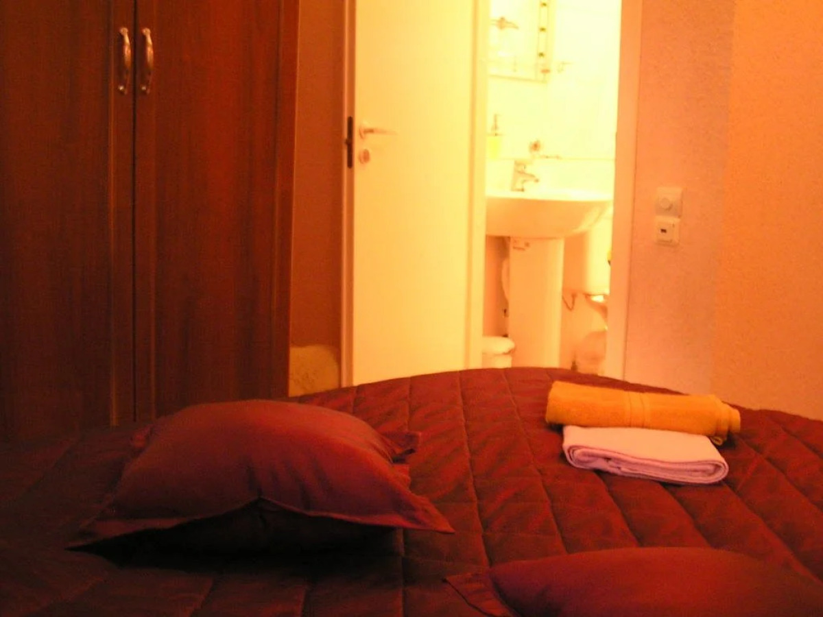 Игуана на Московском