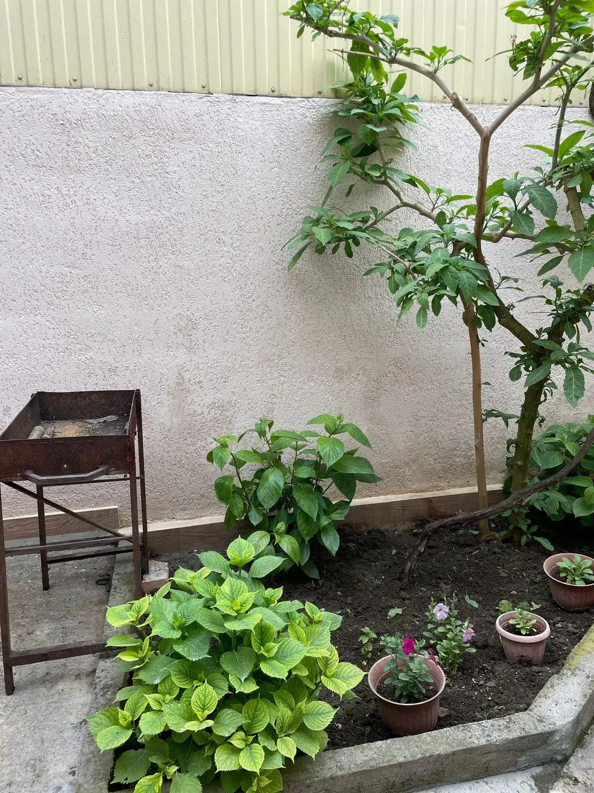 Солнечный дом (бывш. Анри)