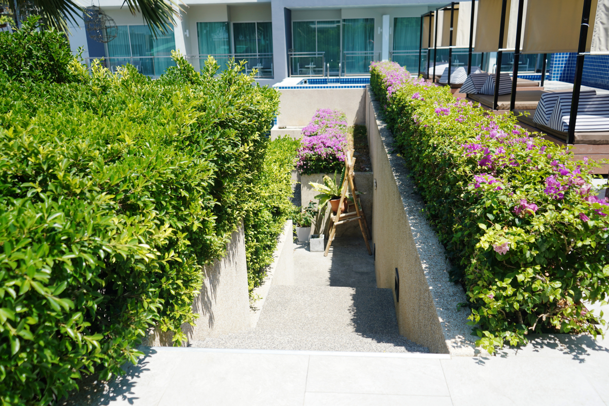 Sugar Palm Grand Hillside