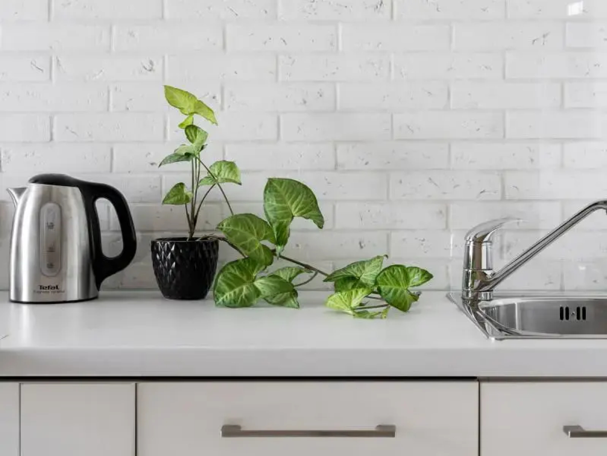 APARTURA (АПАРТУРА) на проспекте Московский 73 корпус 5