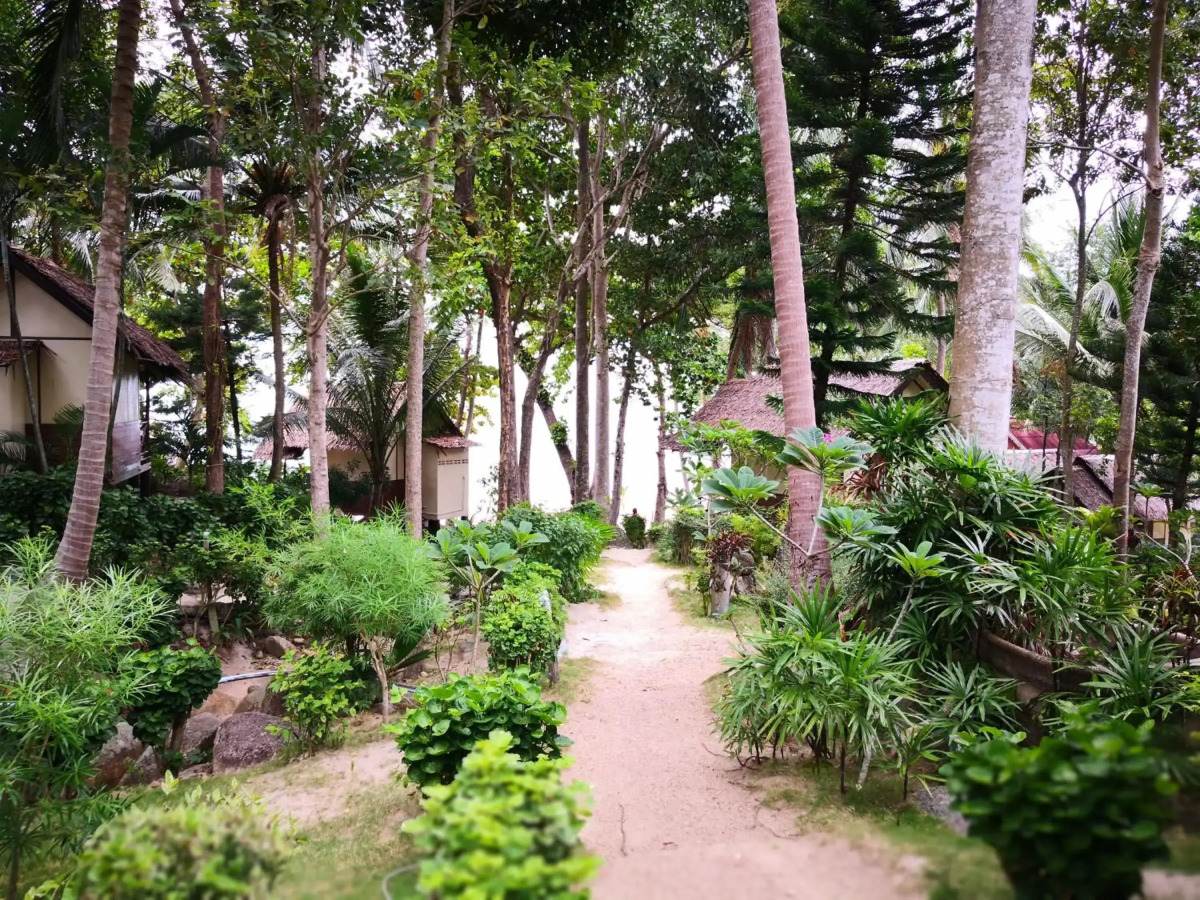 Smile Bungalows