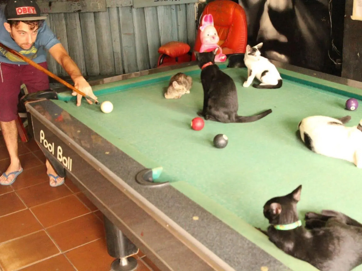 The Overstay Art Hostel