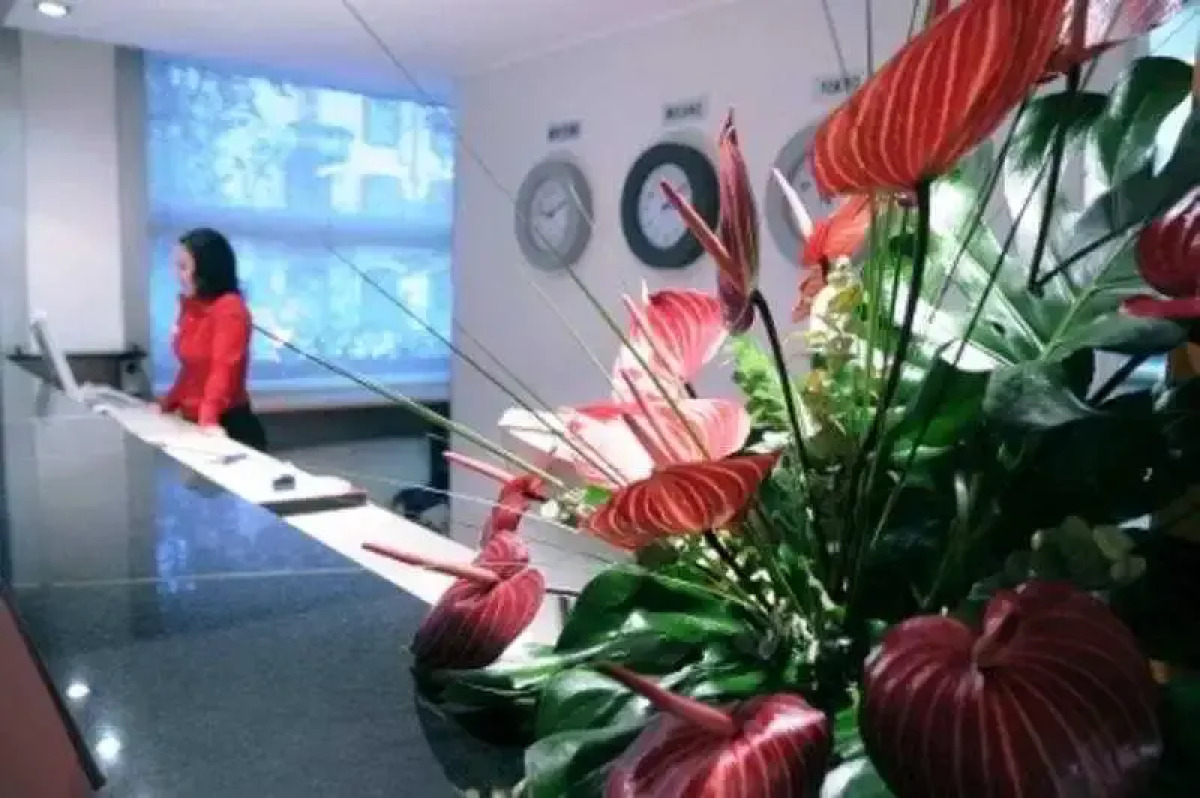 Allegroitalia Espresso Darsena