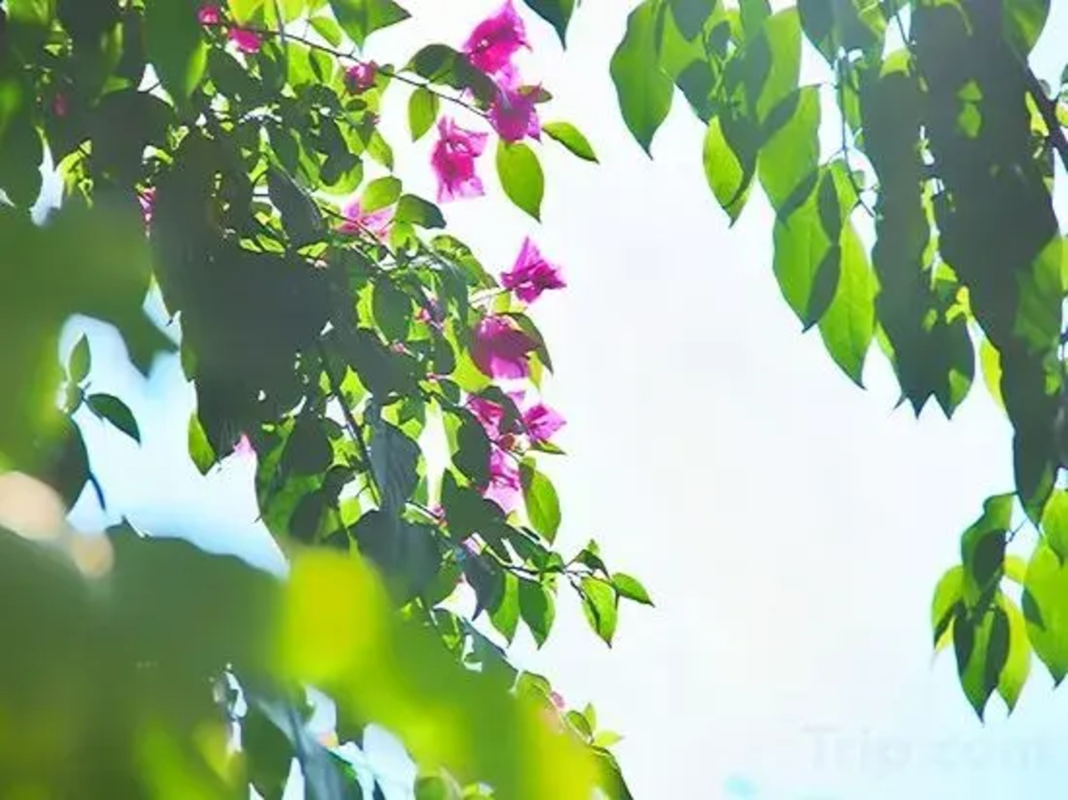 Yihai blue sky apartment (Lingshui Coral Sea store)