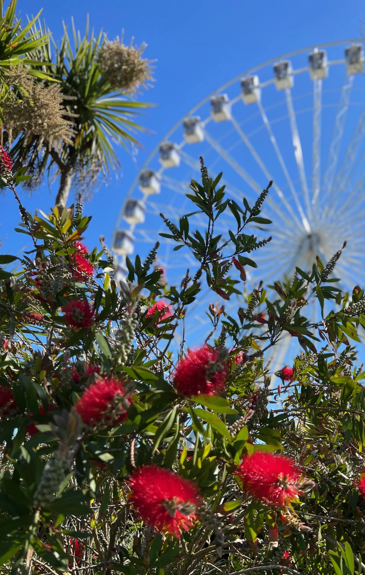 Pearl and Pebbles Hotel