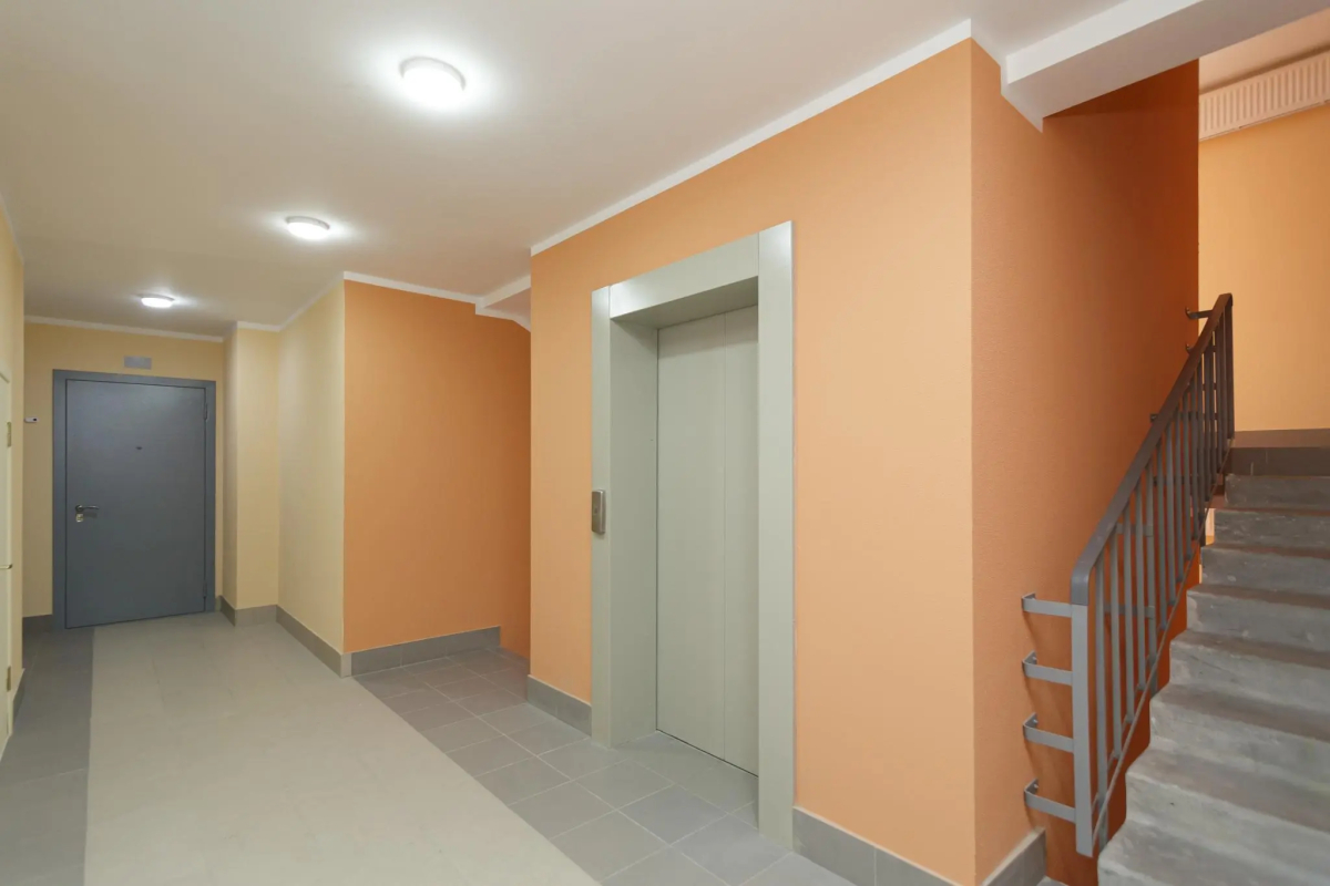 Ночка Сутки на улице Романтиков 11