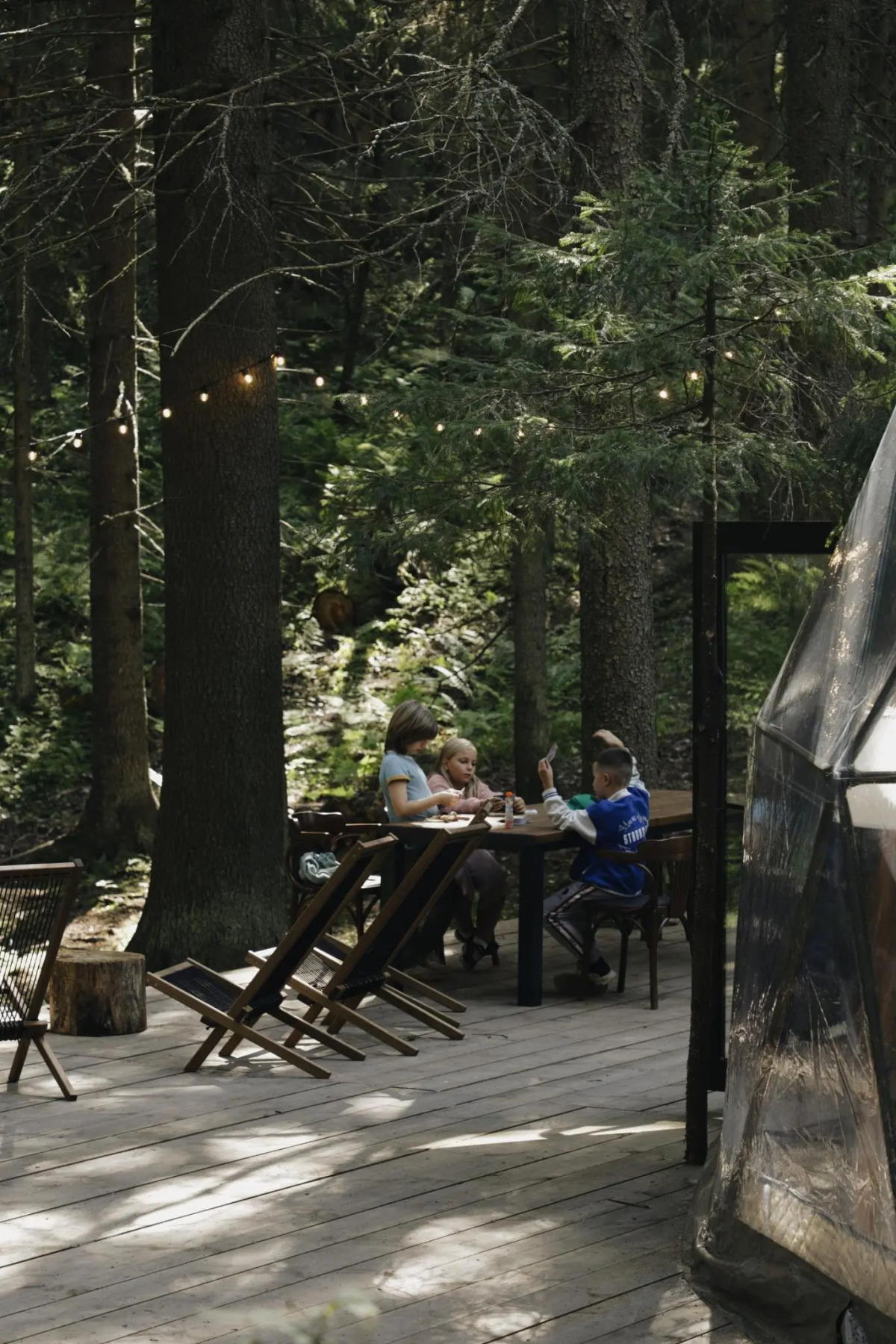 Вили Улей Карелия