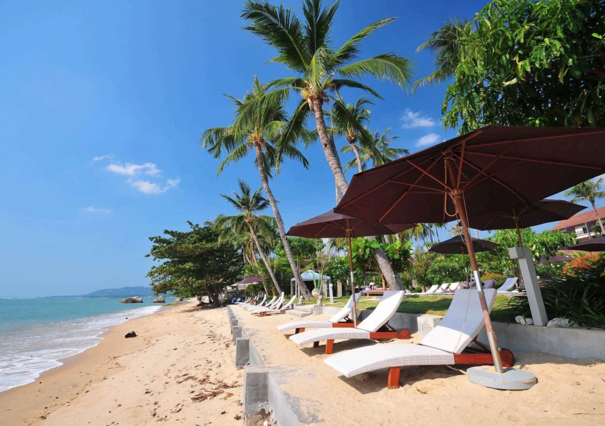 Thai Fight Hotel