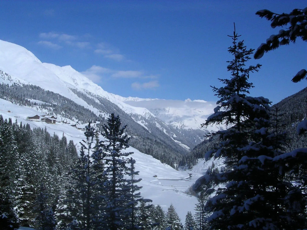 Alpengasthof Hotel Grieserhof