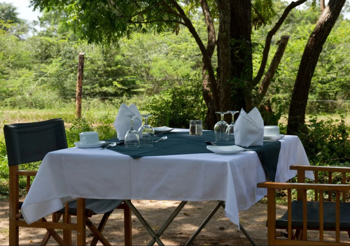 Big Game - Wilpattu by Eco Team