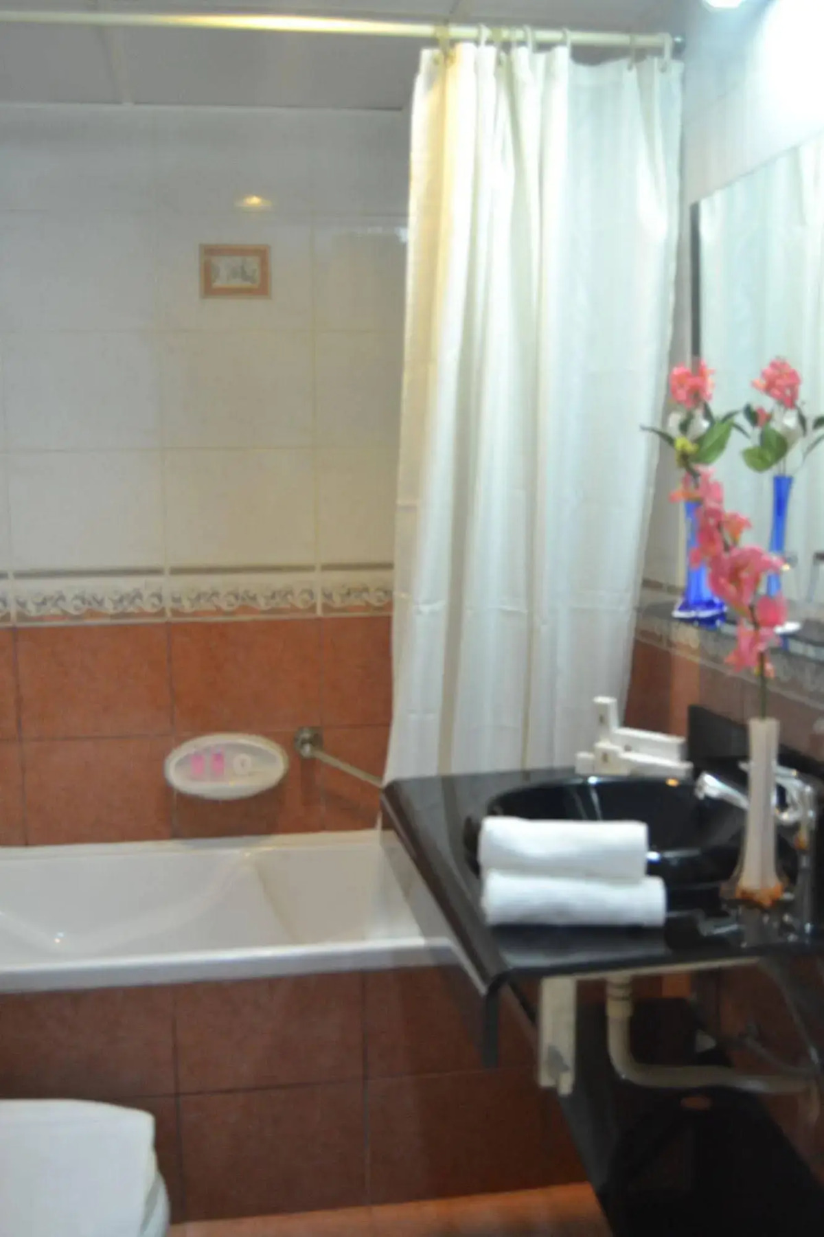 Отель Al Maha Regency