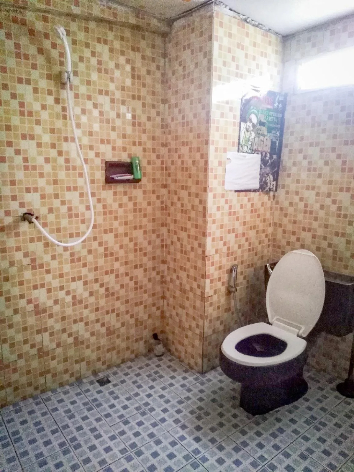 The Overstay Art Hostel