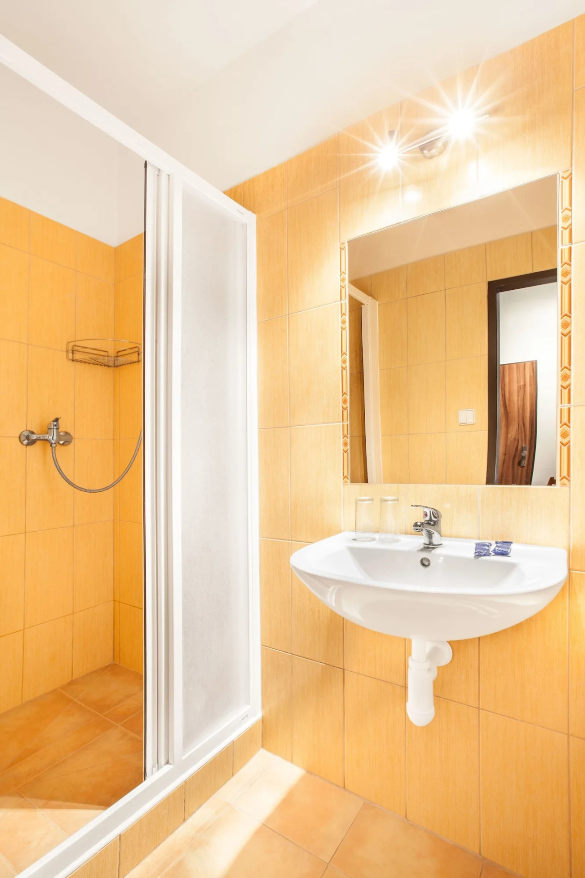 Apartment House Zizkov