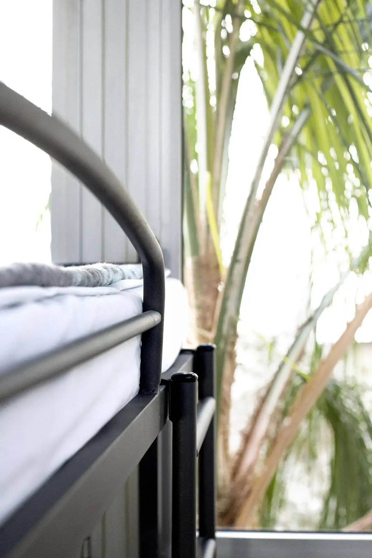 Little Tel-Aviv Hostel