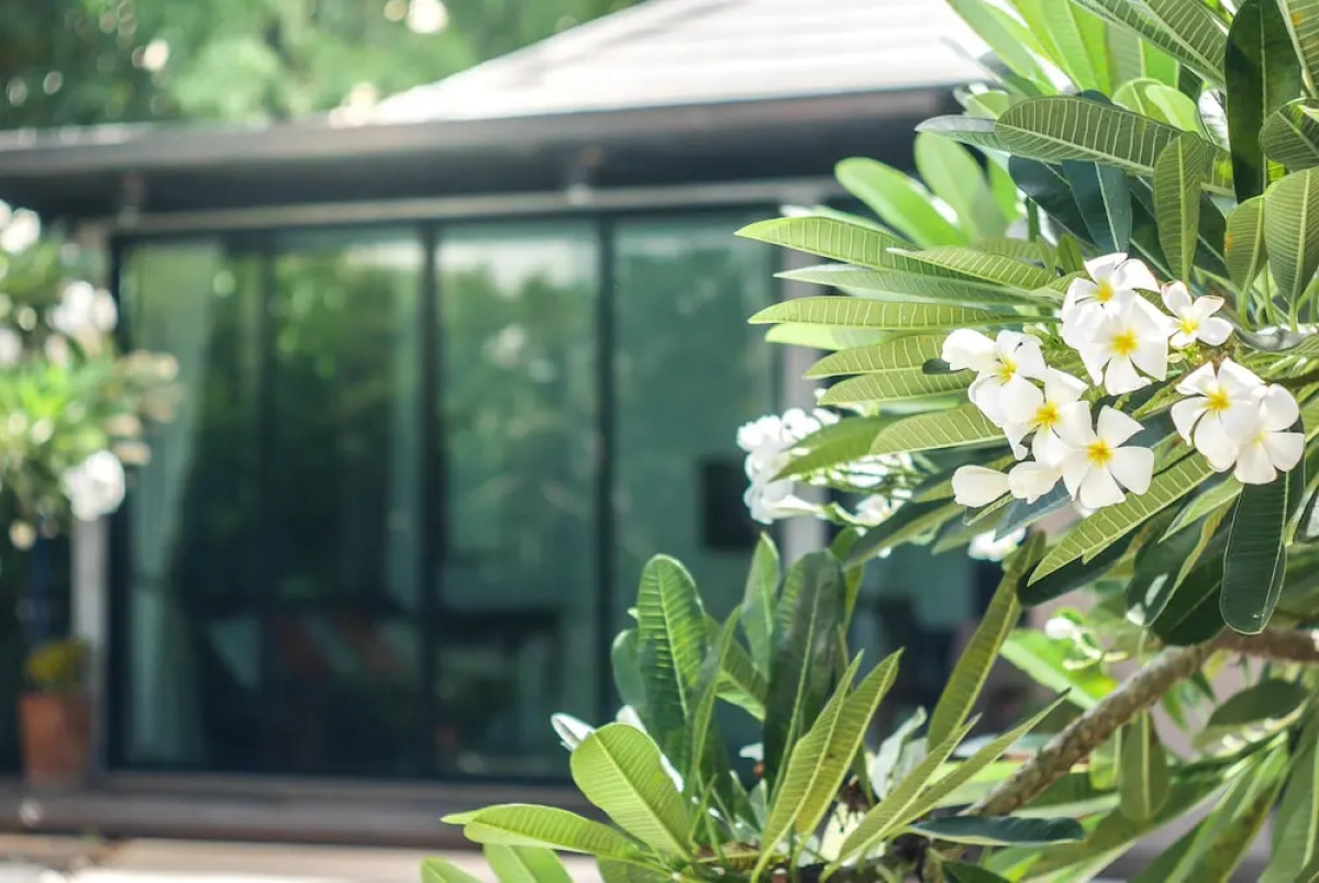 Villa Navin Premier Pool Villa