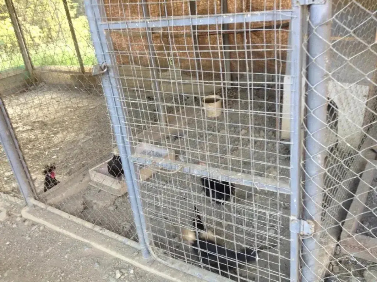 Raysky Ugolok Guest House