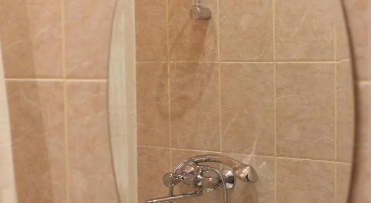 Проворный Верблюд