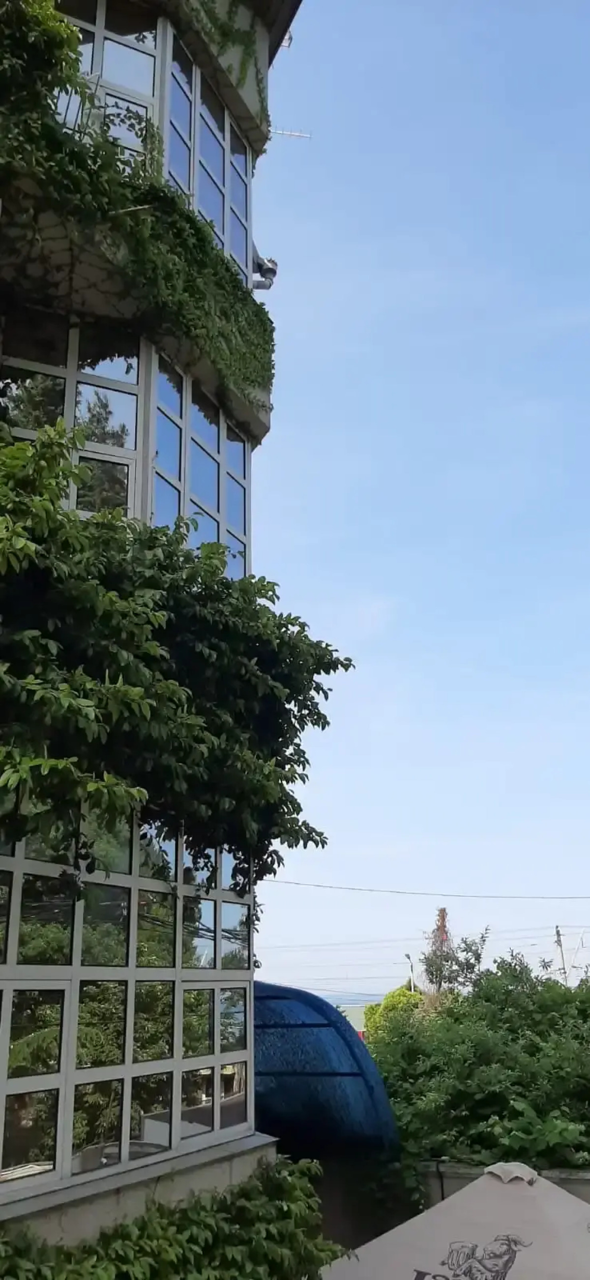 Приморье (Адлер)