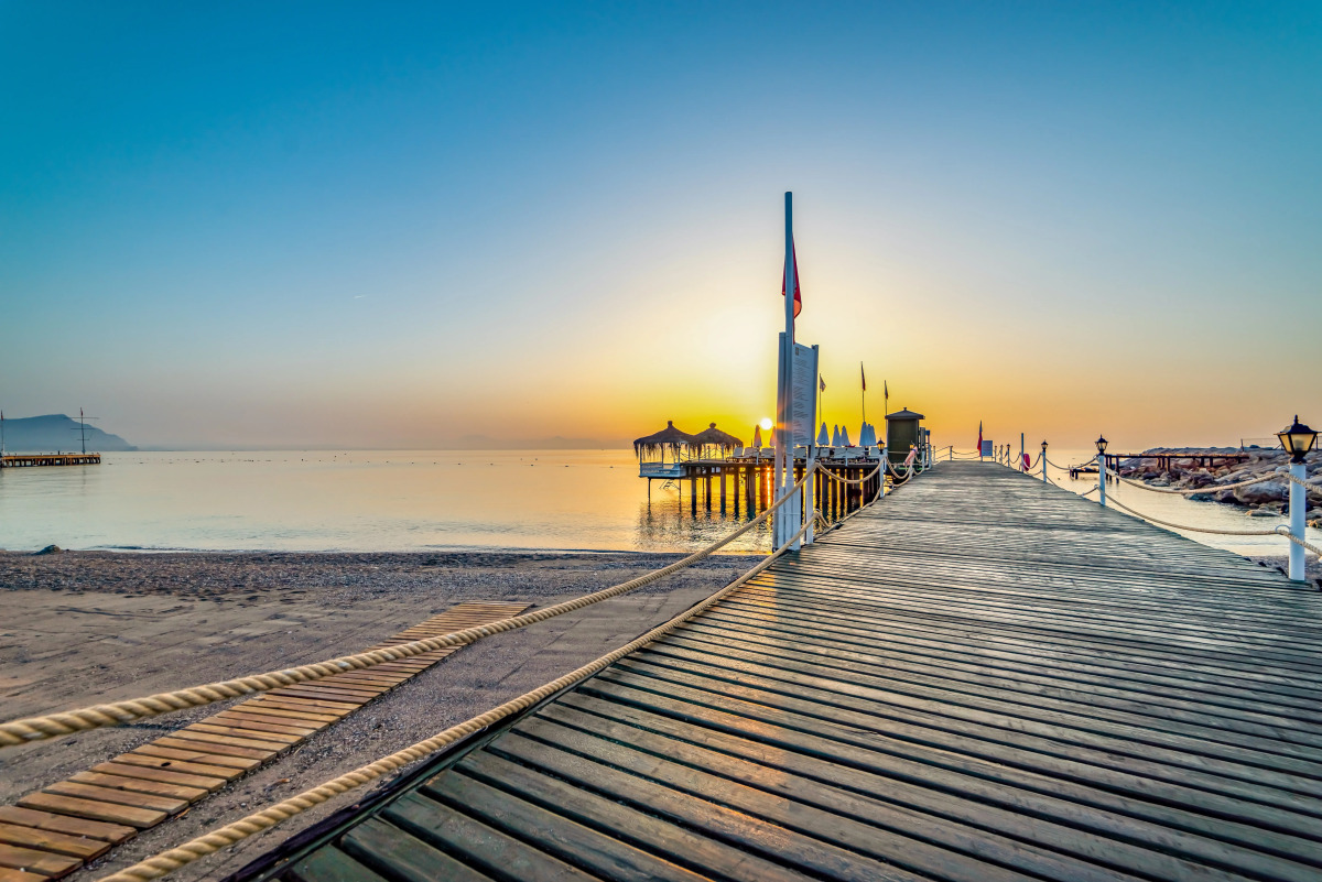 Gypsophila Club Marine