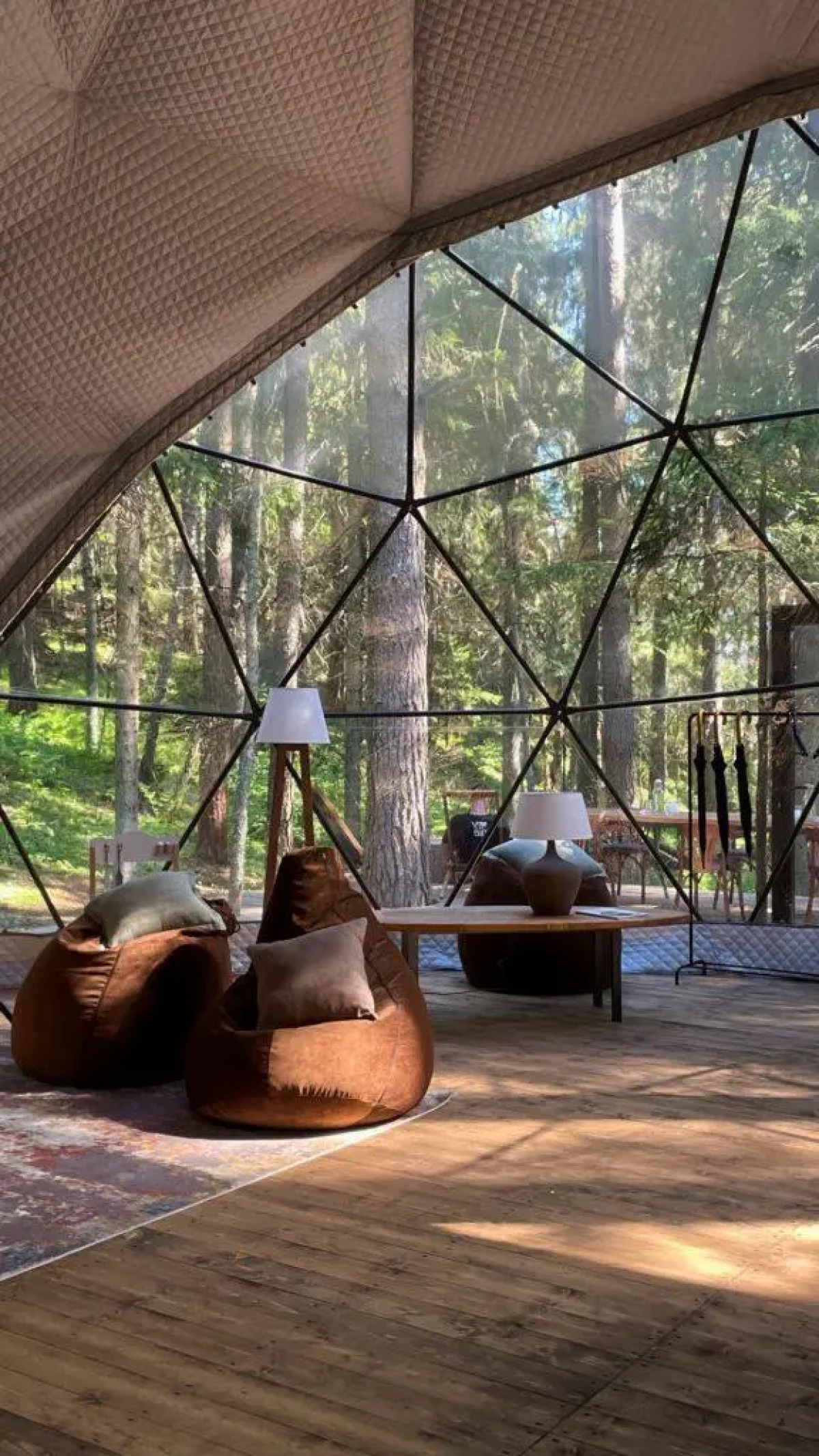 Вили Улей Карелия