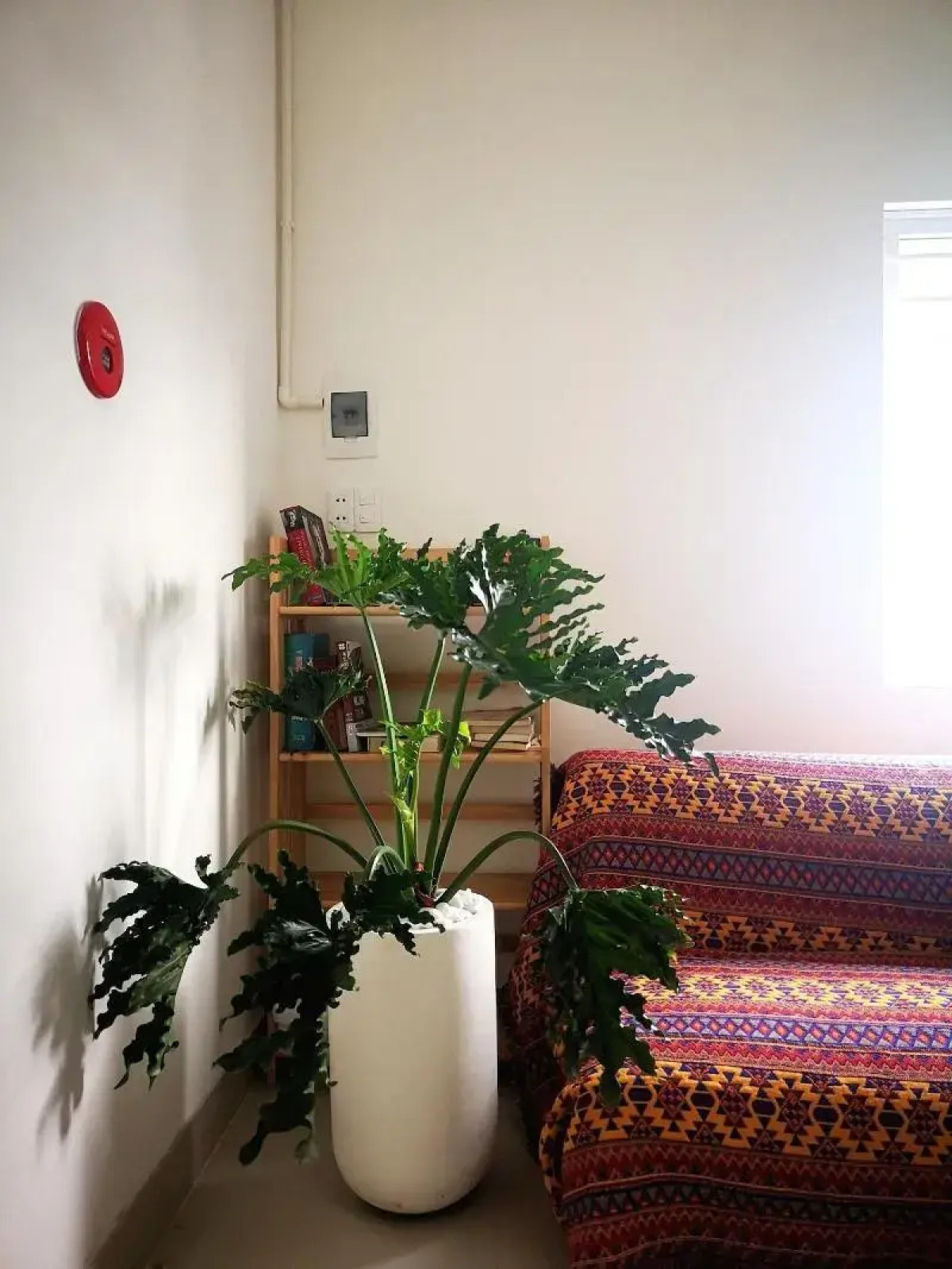 Benzen Boutique Stays Hostel and Apartment