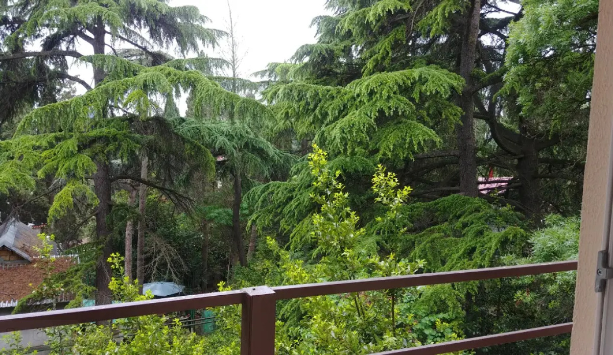 Гостевой дом на Дмитриева