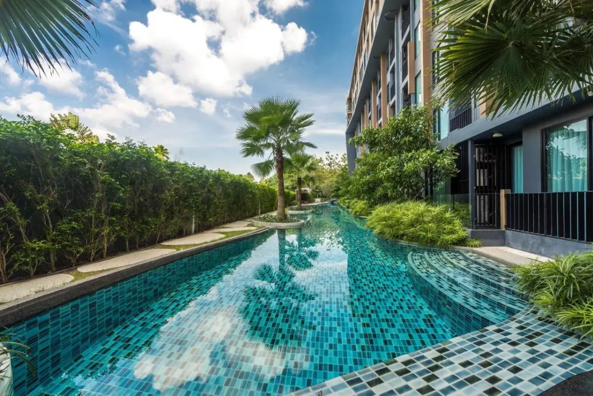 Aristo Surin by Lofty