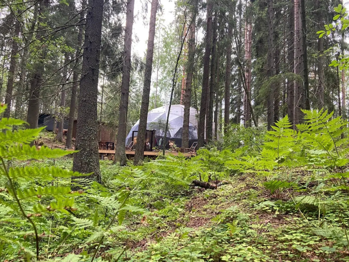 Вили Улей Карелия