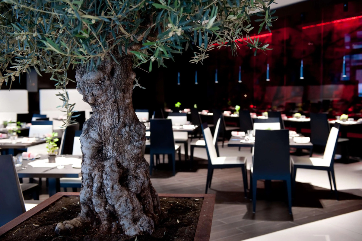 Park Plaza London Westminster Bridge